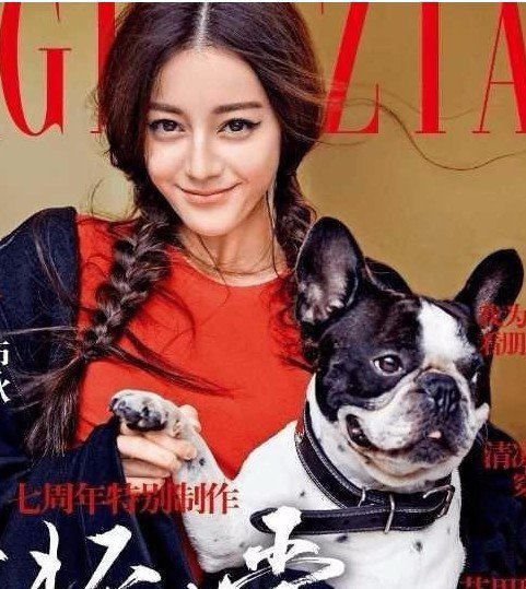 鹿晗发了条微博,图片中狗狗 迪丽热巴竟然也有