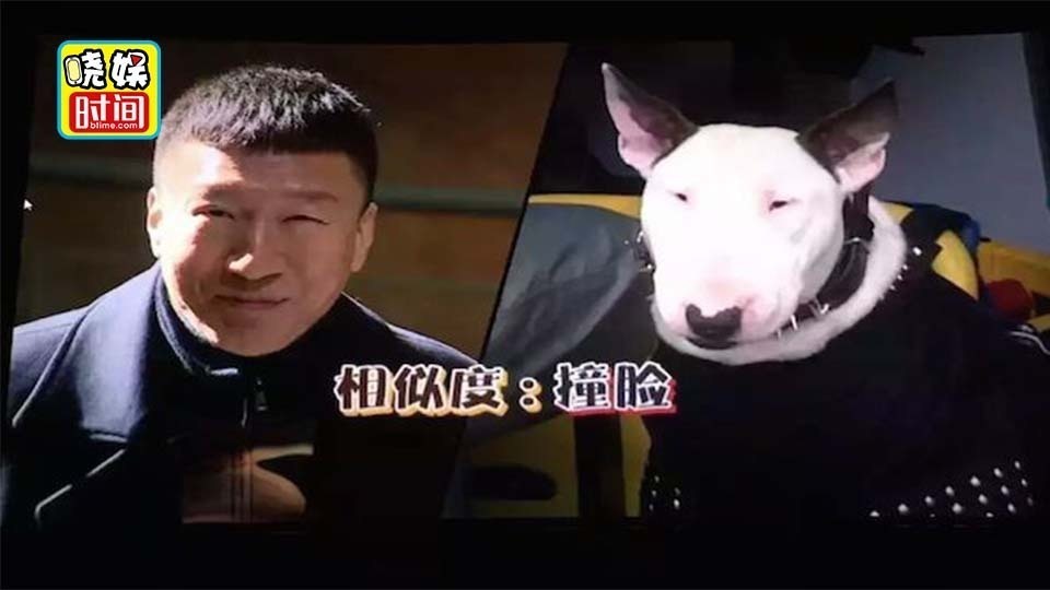 盘点影视剧中的搞笑“点名”鹿晗秒变小学生 孙红雷逃不开“撞脸梗”