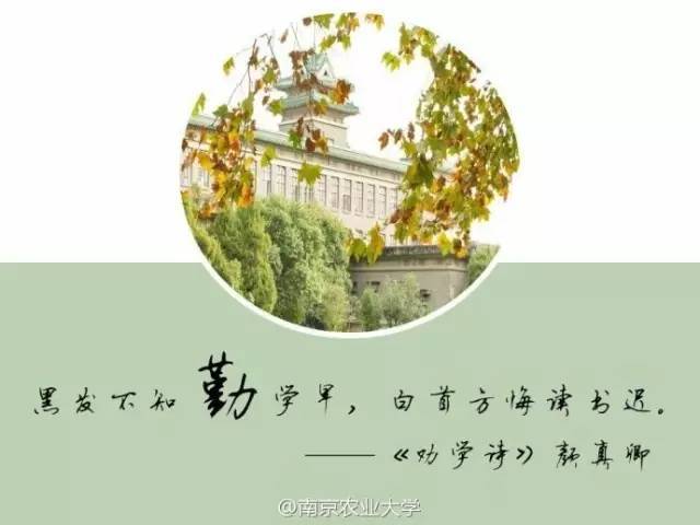 湘潭大学:飞花令"博学笃行"@湘潭大学微博协会 :来接力!