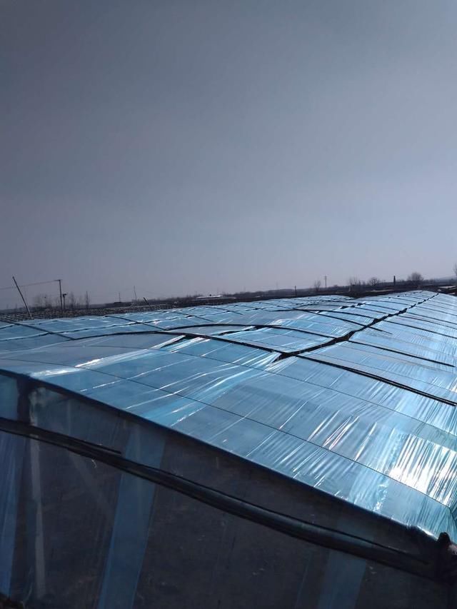 农民在网上卖农产品,是如何实现年利润100万元