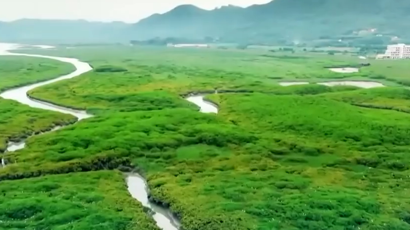 生态环境部:正制定生物多样性保护战略和行动计划 生态环境部:正制定生物多样性保护战略和行动计划
