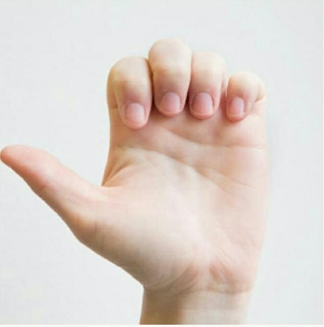 四指上两个关节弯曲,尝试用指尖触碰手指根部.