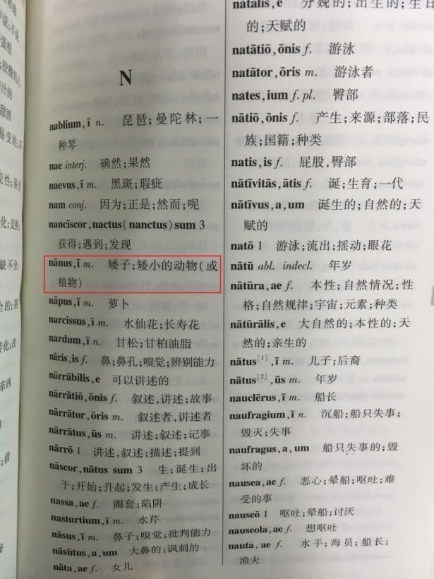 倭蛙,倭犰狳,倭黑猩猩!这些带倭字动物