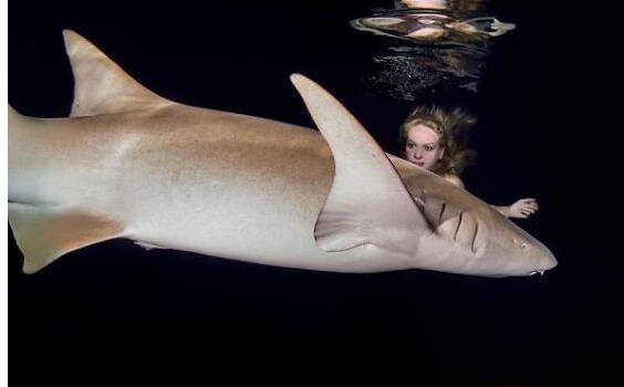 美女下海与鲨鱼共舞竟美成这样 想证明鲨鱼不危险画面震撼到哭