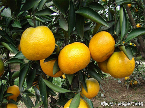 壹俏壹芷护肤小课堂:水果怎样淡化红血丝