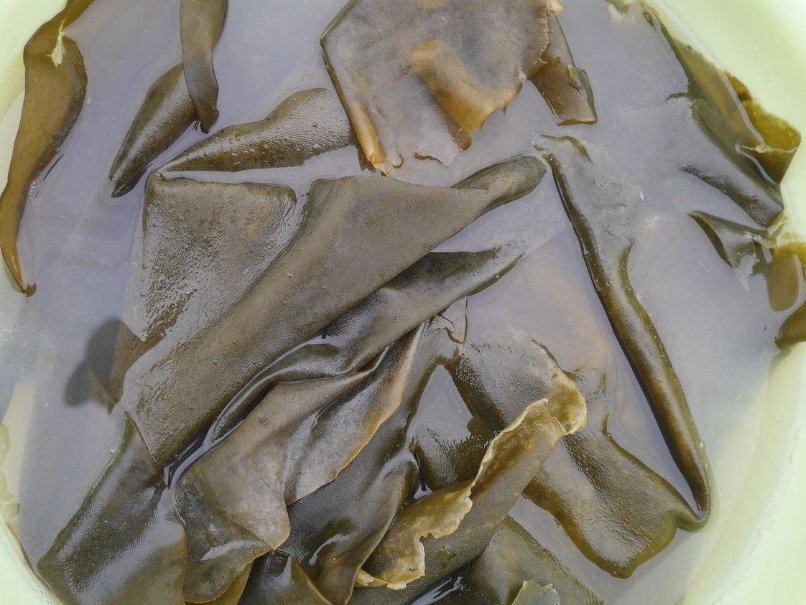 有鼻炎,鼻子堵了不通气?试试这个小方法,迅速