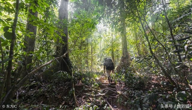 竞彩猫杨震:世界杯期间必须制定投注策略!切记