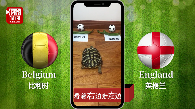 世界杯神龟疯狂预测:比利时战胜英格兰获季军