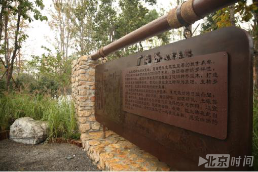 西城区菜市口闲置用地变“森林” 新增城市绿地5.57公顷 西城区菜市口闲置用地变“森林” 新增城市绿地5.57公顷