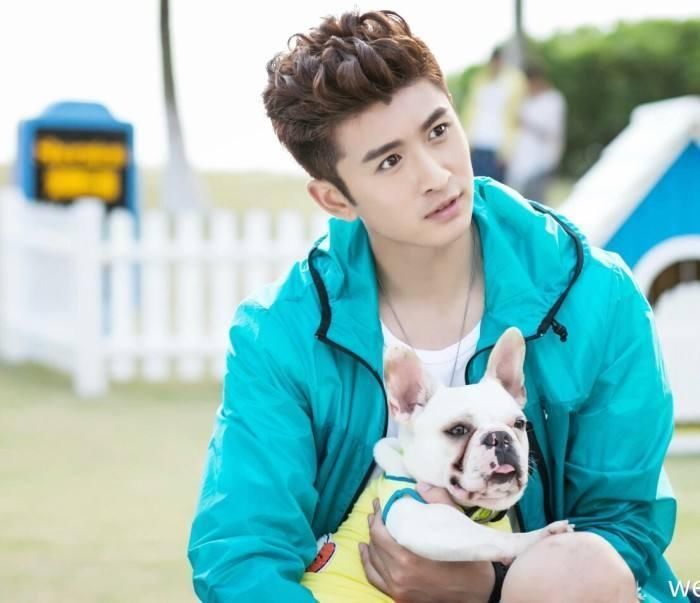 杨幂的嘉行传媒为什么那么成功?看她签约的艺