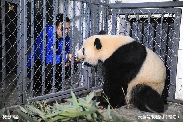 武汉、成都和重庆谁更有实力成为中国第五城?