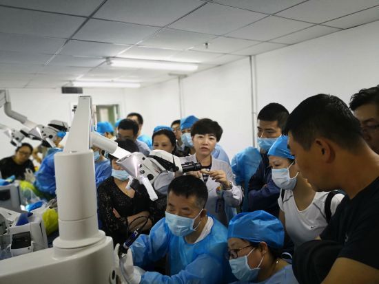 哈医大一院举办耳鼻咽喉内镜继续教育学习班