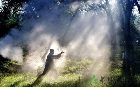 女人练什么武术适合强身健体