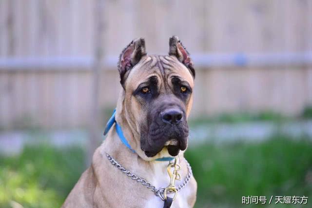 爱的连线:罗拉成长记