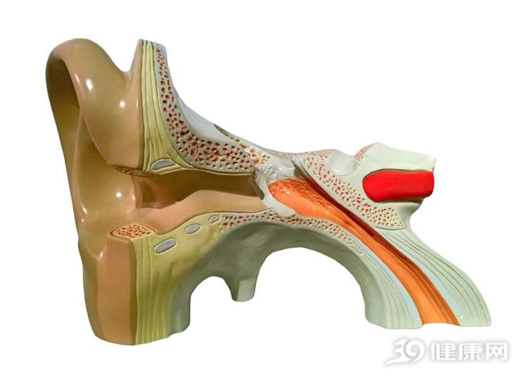 耳屎一直不掏,会不会堵住耳朵?原来真相很简单