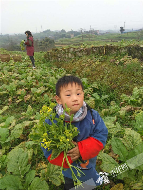 【新春走基层】记者见闻:主城看风景 农村聊亲情 别样的年味 【新春走基层】记者见闻:主城看风景 农村聊亲情 别样的年味