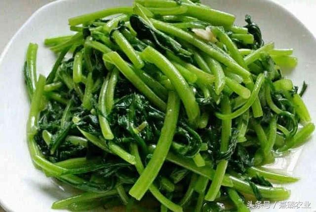 多吃这种菜,营养丰富,最适合冠心病、高血压病