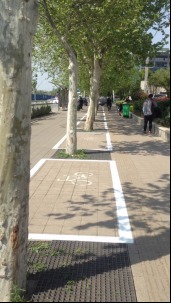 ofo在郑东新区划分停车线推动绿色出行