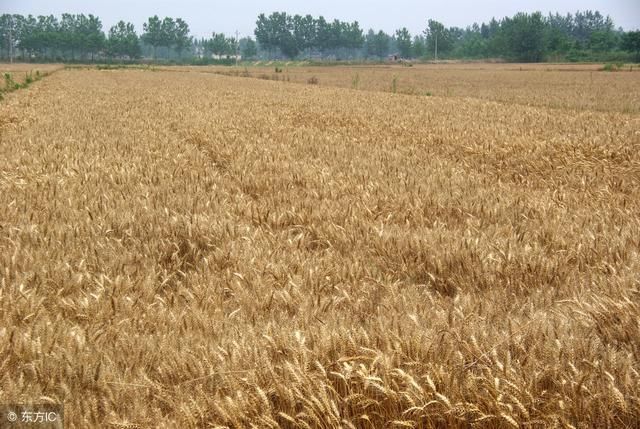 2018年涉农土地征收补偿标准及相关规定