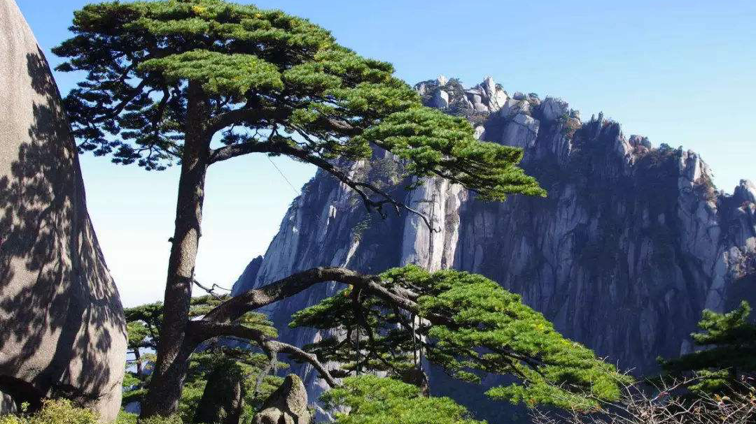 哪个城市名字更好听，你知道吗？