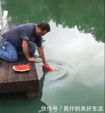 队友嘲笑男子用西瓜钓鱼,不一会儿队友傻眼了
