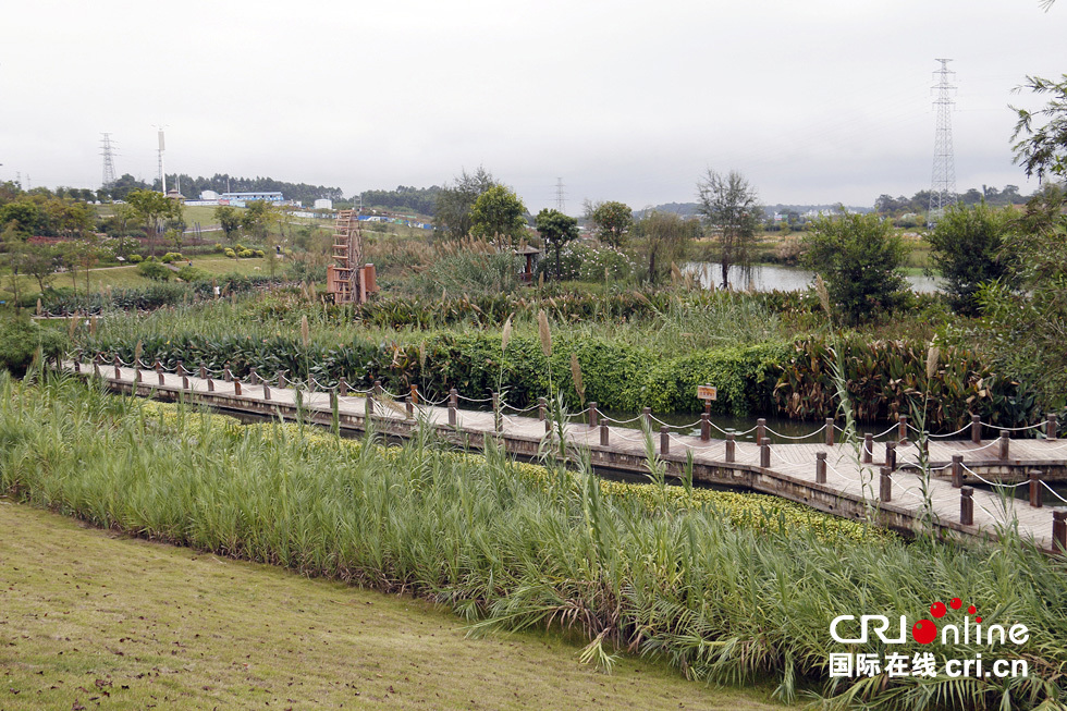 广西南宁那考河:臭水沟“变身”水清岸绿风景线 广西南宁那考河:臭水沟“变身”水清岸绿风景线