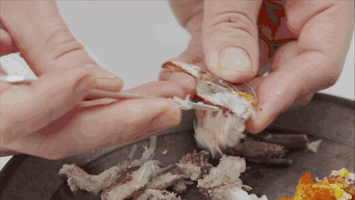 510_287gif 动态图 动图