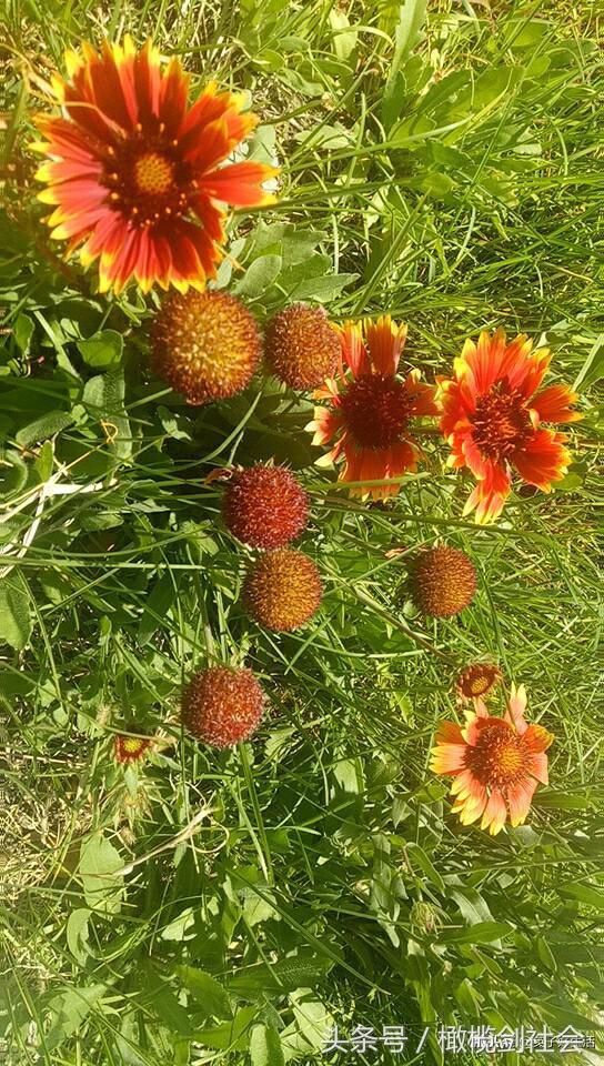 农村五保户去世后,亲属能继承遗产吗?