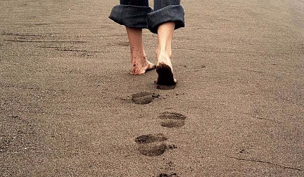 一周资讯分享企业网站栏目建设怎样合理规划