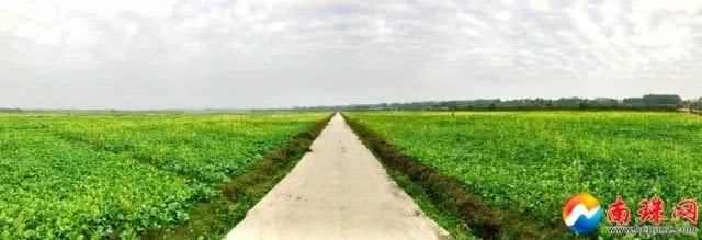 北海这个村要火!农田里开起了新闻发布会!