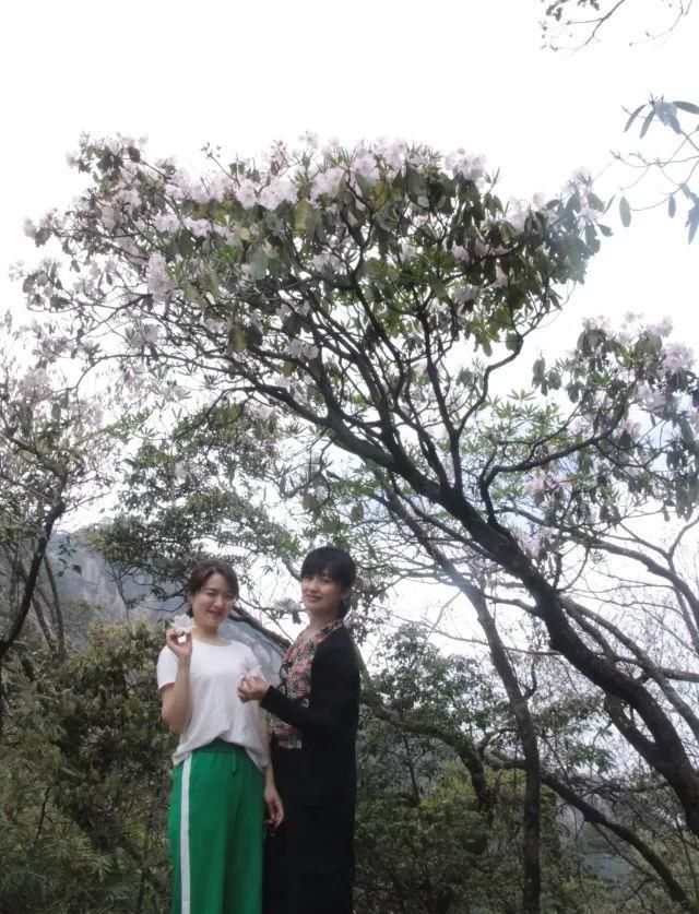 江西风景独好|五一劳动节带你去旅行记:游世界