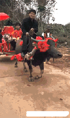 搞笑幽默的动态图GIF 妹子不要把你的头发撩起