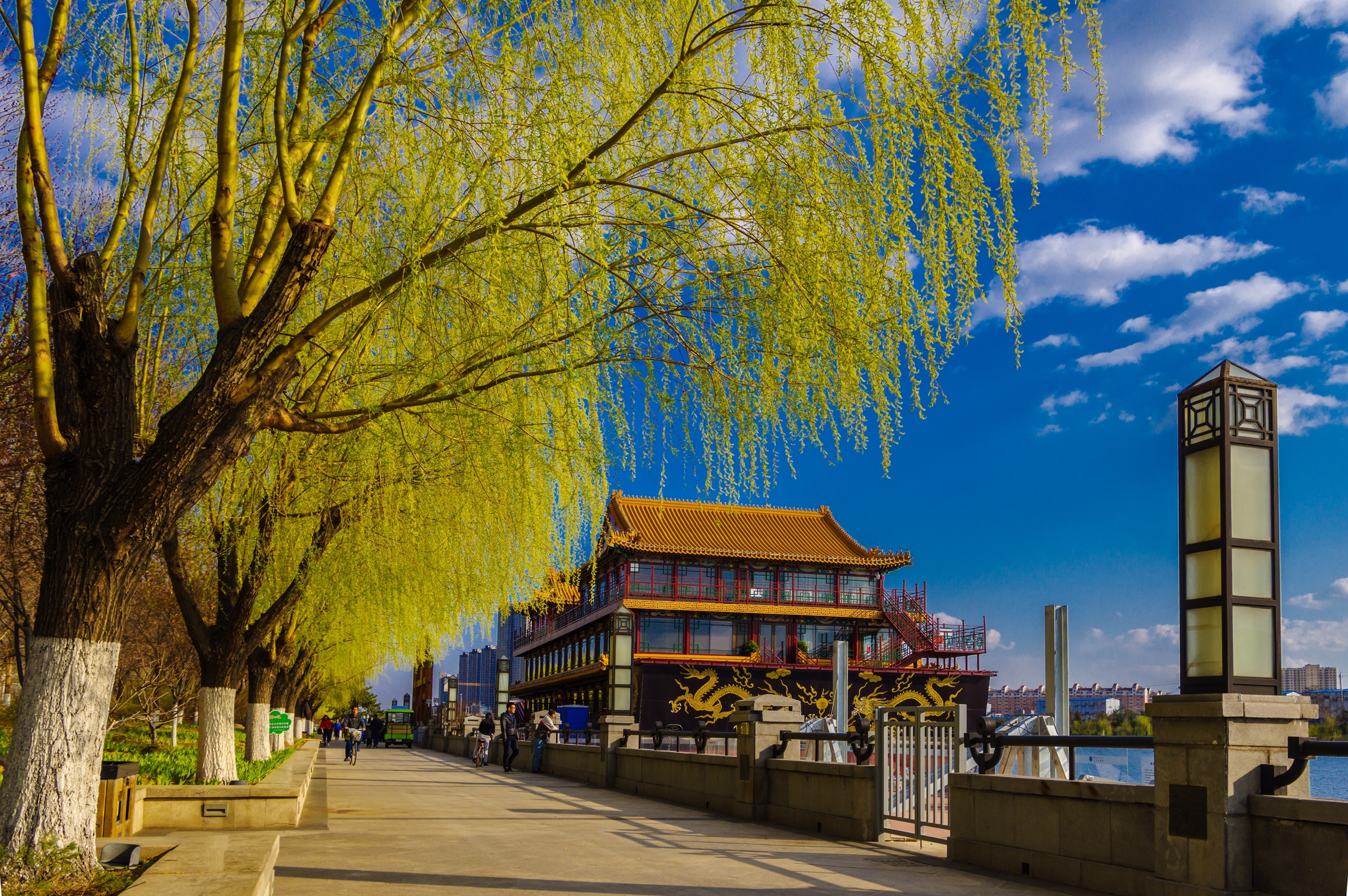 "我身边的运河故事"| 杜智广:通州运河风光(组图)