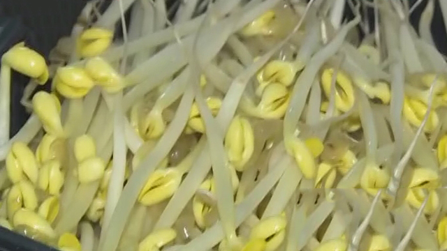 《快乐生活一点通》20180124豆芽食材好处多