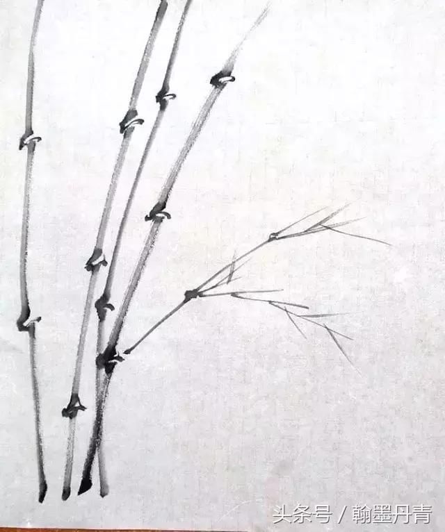 水墨竹画法,这样画竹子的简单多了!