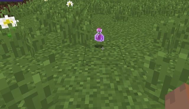 我的世界:让你选择一种药水带入现实,隐身药水