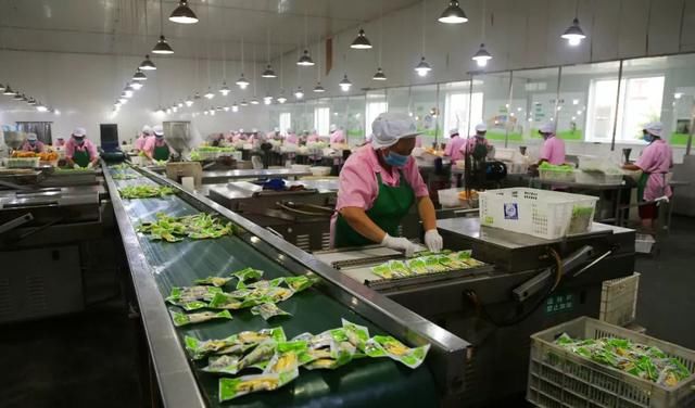 云南菜人家:永善巧媳妇在家门口就能打工挣钱