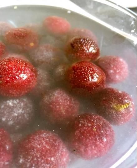 杨梅别直接吃,教你一种新吃法,做法简单又好吃