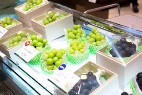 日本水果为什么这么贵,了解一下!