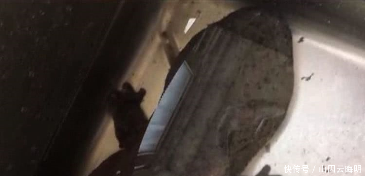 女子半夜在家睡觉,突然听见一阵小孩的哭声,打