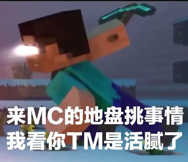 我的世界反迷你无水印表情包