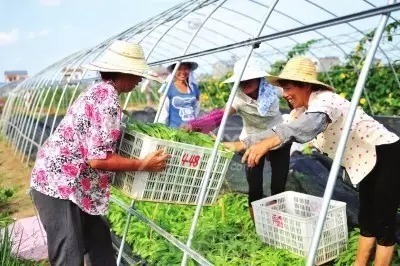 《农民专业合作社法》首次大修:将扶持5类人,