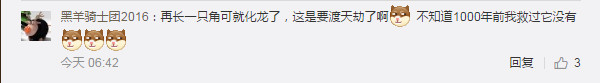 他印象中,当时自己注意到蛇头上的这个突出,“以为是枯树枝或者其他脏东西,当时还一度觉得这东西影响了照片的成像。”拍完照之后,他就看着这条蛇爬开了。
过了几天,当他回看那次调查的照片时,仔细看了照片,才发现蛇头上的突出并不一般。“开始我以为会蚂蟥,但是这个‘角’没有蚂蟥的纹路,接合处也没有吸盘。”赵力表示,另一方面这个“角”上的颜色和蛇身体上的几乎一致。
随后,他又将自己的疑问发到了微博上,作为一名研究昆虫的学者,他希望能看到大家的讨论和解答。
网友脑洞大开:成精的蛇?
“独角蛇”很快在朋友圈里引来关注。“是接收信号的吧”,有人开玩笑道。
“角”也引来了其他人关于传说中“龙”的猜想,也有人打趣“这是成精的蛇”。
微博上的网友更加活跃,和赵力最初的想法一样,有网友猜测是“蛇脑袋上趴了条蛭”,也有认为是“旱蚂蟥”。