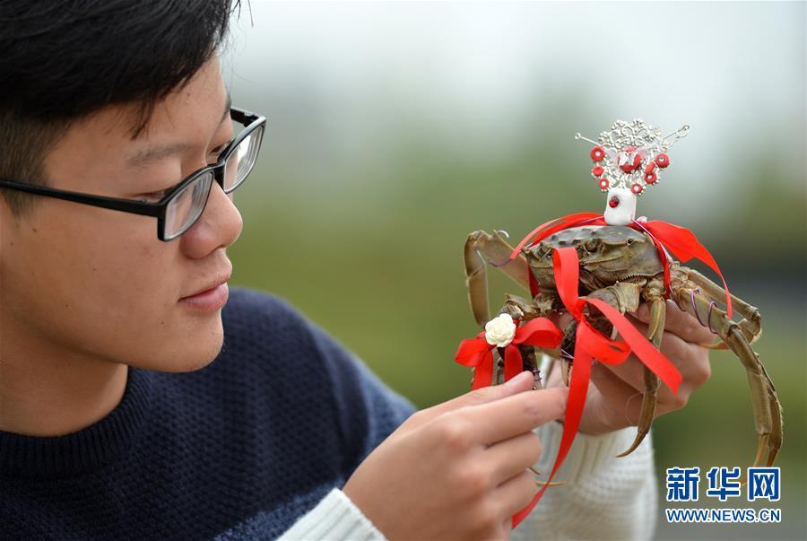 10月11日，在江苏省淮安市洪泽欢乐广场，参赛选手展示参加“螃蟹时装秀”的洪泽湖大闸蟹。