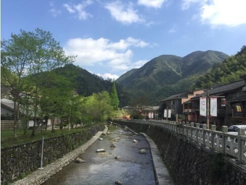 丽水庆元:乡村民宿带动全域旅游新发展