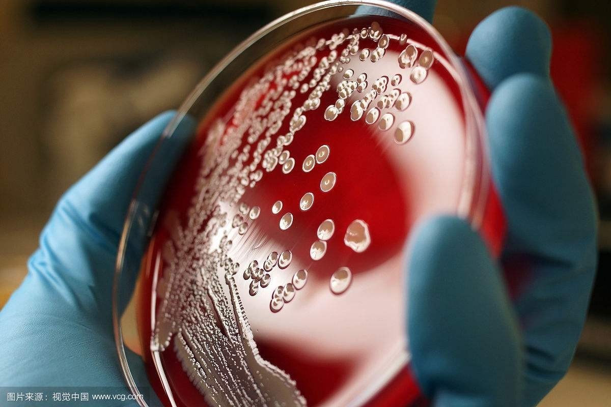 女生看过来!穿高跟鞋磨破脚后跟 女子竟中毒晕