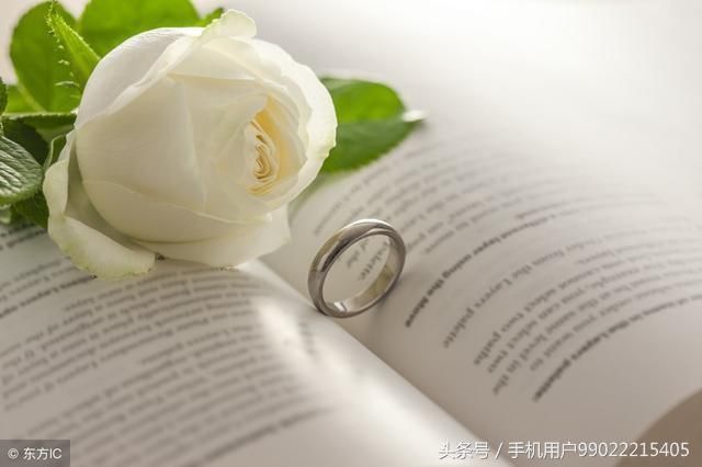 店铺精细化运营有什么技巧?店铺被降权怎么办