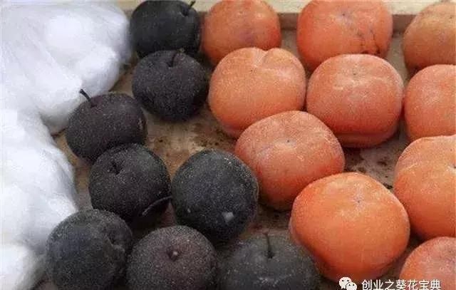 2018农村致富项目,新兴行业赚钱快!