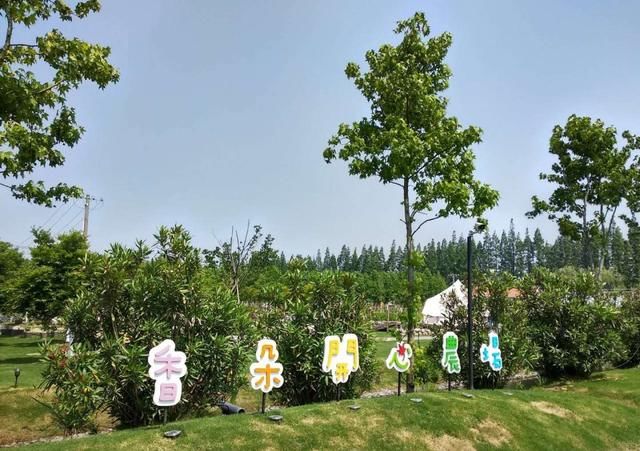 崇明岛首个生态农业开心农场