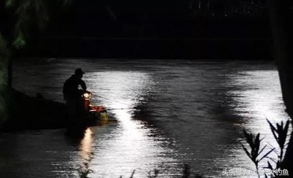 夏季夜钓大鱼的老套路,别不信,高手都是这么做
